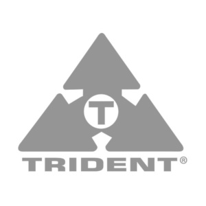 pmi_audio_trident_logo